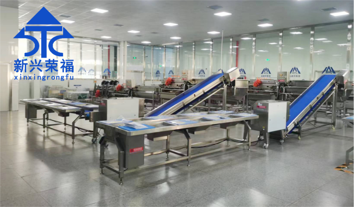 日供蔬菜20噸,新興榮福承建凈菜加工項目完成驗收